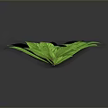 Lush Green Leaf Plant With Vibrant Healthy Foliage On Dark Background
