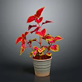 Vibrant Potted Plant with Red and Yellow Leaves in Gray Ceramic Pot