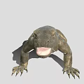 Komodo Dragon With Open Mouth Grayish Brown Skin And Sharp Claws Standing