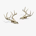 Pair of Natural Deer Skull Antlers as Decorative Wall Hanging Art
