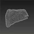 Ancient Plant Fossil With Natural Brown Black Beige Textured Stone Structure
