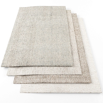 Modern Carpet 3d model