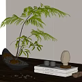 Decorative Bonsai Plant in Black Pot with Small Pebbles and Books on Wooden Table