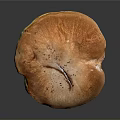 Mushroom Organ Shaped Cap With Hair Like Stem And Green Orange Color