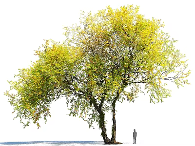 Decorative Garden Ornament Featuring Lush Tree with Yellow Green Leaves and Standing Person 3d model