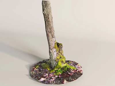 Tall Tree Trunk with Green Moss and Scattered Pink Petals on Ground 3d model