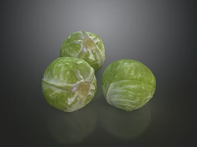 Three Fresh Green Brussels Sprouts With Textured Surface On Dark Background 3d model
