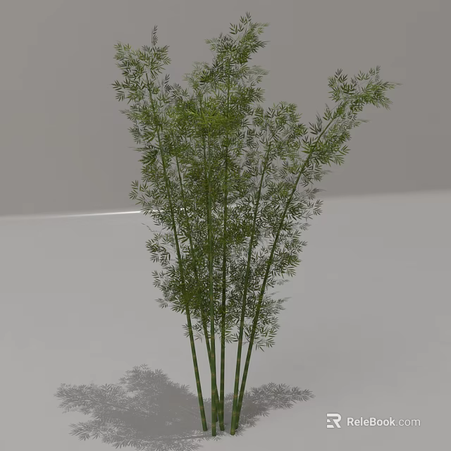 Tall Green Bamboo Plant With Fresh Leaves And Slender Stems 3d model 