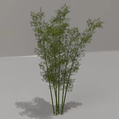 plant bamboo green plant landscape natural grass 3d model