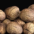 Realistic Walnut Modern Realistic Food Fruit Walnut Plate 3d model