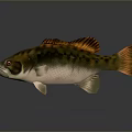 Elegant Decorative Fish Figurine For Modern Home Living Room Decoration