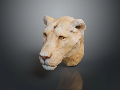 Detailed Light Brown Lion Head Sculpture On Dark Background With Reflection 3d model