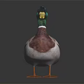 Green Headed Duck with Yellow Beak Brown White Feathers Orange Feet on Dark Shiny Surface