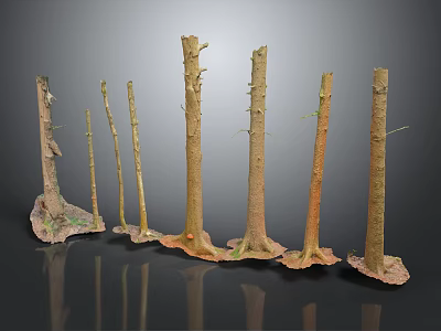 Natural Wood Tree Trunks with Stone Bases in Various Heights and Sizes for Decorative 3d model