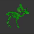 Elk Skeleton Model with Golden Antlers Displayed on Dark Reflective Background