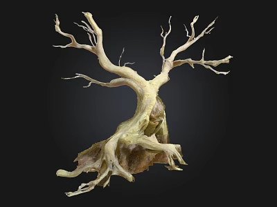Natural Wood Stone Decorative Sculpture with Twisted Roots and Intricate Branches for Interior Art 3d model