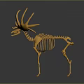 Yellow Deer Skeleton Model 3D Rendering with Detailed Antler and Bone Structure