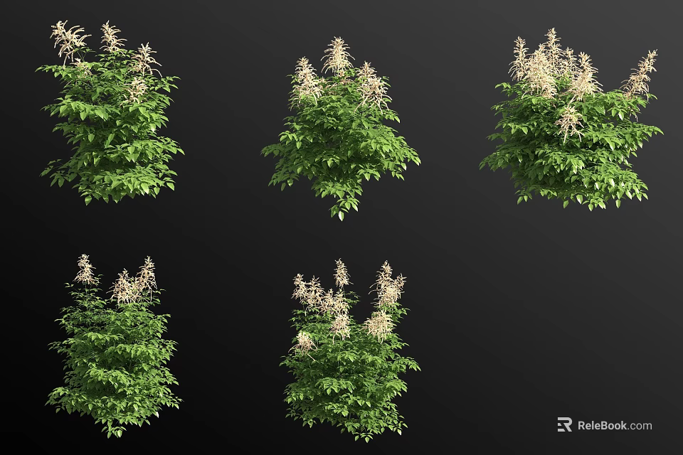 Lush Green Plants With White Flowers In Various Growth Forms and Natural Foliage 3d model 