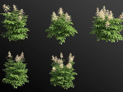 Lush Green Plants With White Flowers In Various Growth Forms and Natural Foliage 3d model