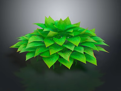 Lush Vibrant Green Leafy Plant With Glossy Foliage And Dark Background 3d model