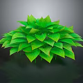 Lush Vibrant Green Leafy Plant With Glossy Foliage And Dark Background