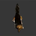 Realistic German Shepherd Dog Sitting On Black Background With Surface Reflection