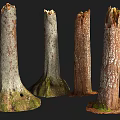 Natural Wood Tree Stumps With Stone Like Texture And Mossy Bases