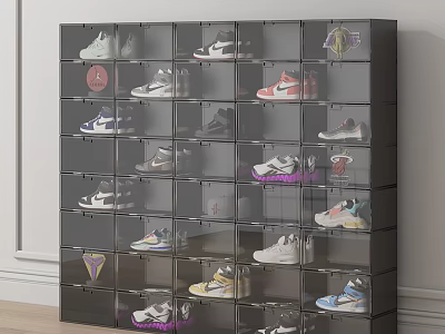Organized Shoe Collection Display on Modern Rack with Clear Individual Compartments 3d model