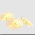 Elegant Flower Stand With Transparent Yellow Flowers And Minimalist Design