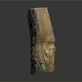 Natural Wooden Arbor Stump With Brown Green Surface And Artistic Texture