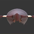 3D Fantasy Female Character in Red Hooded Cloak Dark Skirt Gloves and Boots