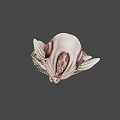 Horned Fantasy Game Movie Character With Pointed Ears Intricate Skin Texture And Spiked Shoulders