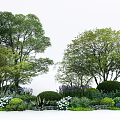 Tall Trees With Lush Green Foliage Pruned Shrubs And Colorful Flowers In Garden Landscape