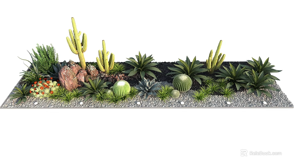 Natural Arid Terrain Showcasing Diverse Cacti Succulents Rocks And Gravel 3d model 