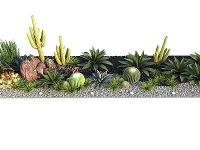 Natural Arid Terrain Showcasing Diverse Cacti Succulents Rocks And Gravel 3d model