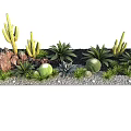 Natural Arid Terrain Showcasing Diverse Cacti Succulents Rocks And Gravel