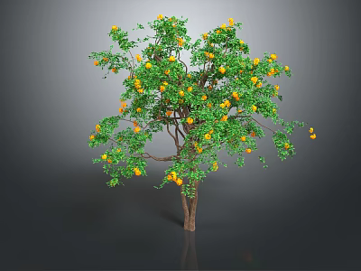 Healthy Fruit Tree With Yellow Fruits And Green Leaves On Brown Trunk 3d model