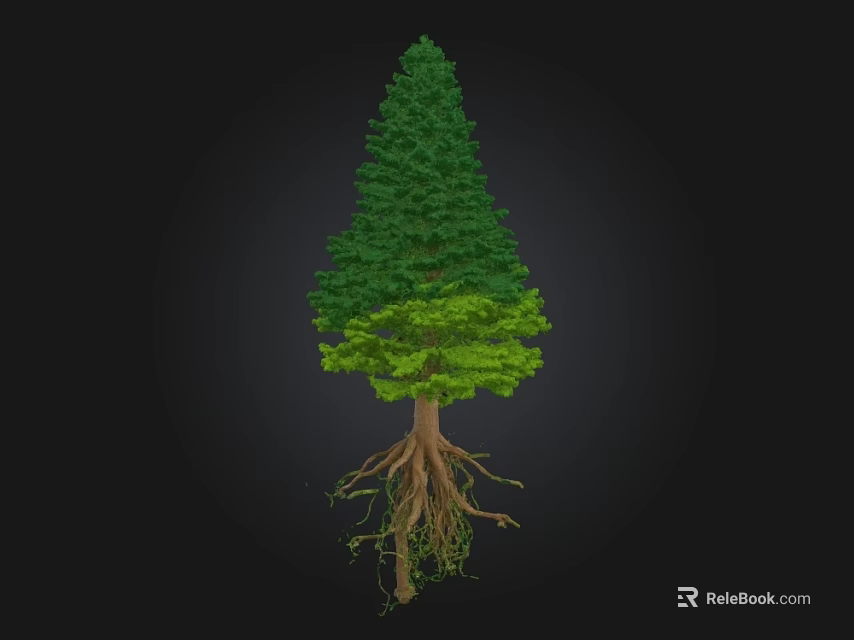Tall Arbor With Dark Green Crown Light Green Leaves And Exposed Roots On Black Background 3d model 