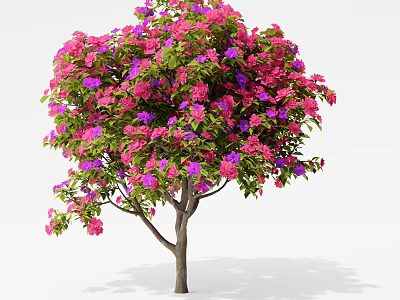 Vibrant Blooming Shrub With Pink And Purple Flowers And Green Leaves 3d model