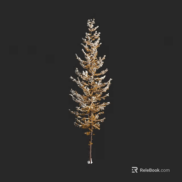 Tall Slender Tree With Golden Feathery Branches Against Dark Background 3d model 