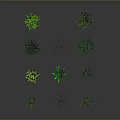 Various Green Grass Clusters in Different Forms on Gray Background with Reflections 3d model