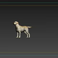 Yellow Labrador Dog Standing On Green Golf Course With Trees Lake And People