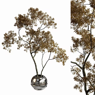 Modern potted plant green plant ornaments 3d model