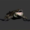 Crocodile Alligator Nile Crocodile carnivore reptile cold-blooded animal reptile 3d model