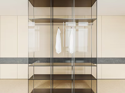 Modern wardrobe transparent wardrobe 3d model