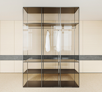 Modern wardrobe transparent wardrobe 3d model