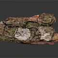 Garden Landscape Natural Decoration With Green Moss And Wooden Texture Details