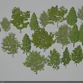 Various Forms of Arbor Trees Featuring Green Leaves and Trunks on White Background