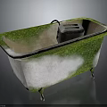 Old Moss Covered White Bathtub With Metal Legs And Soap Dish