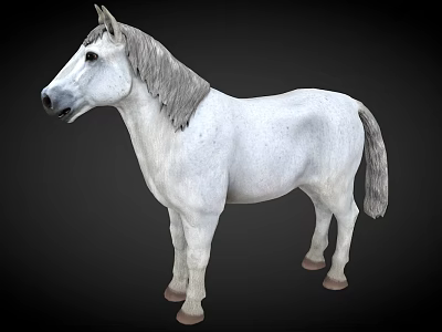Realistic White Horse Model With Gray Mane And Tail On Black Background 3d model